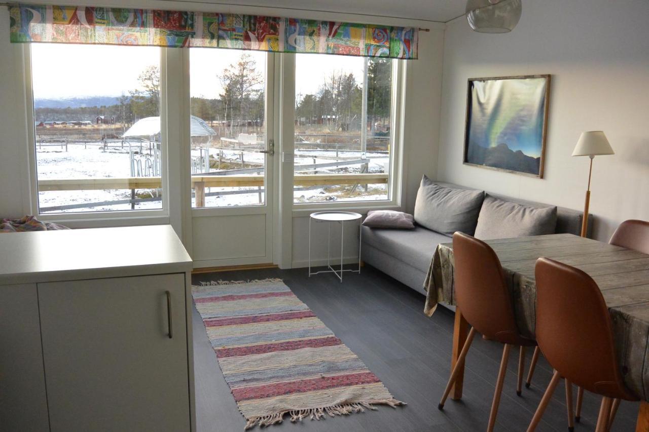 Ofelas Islandshaestar & Guideservice Kiruna Extérieur photo