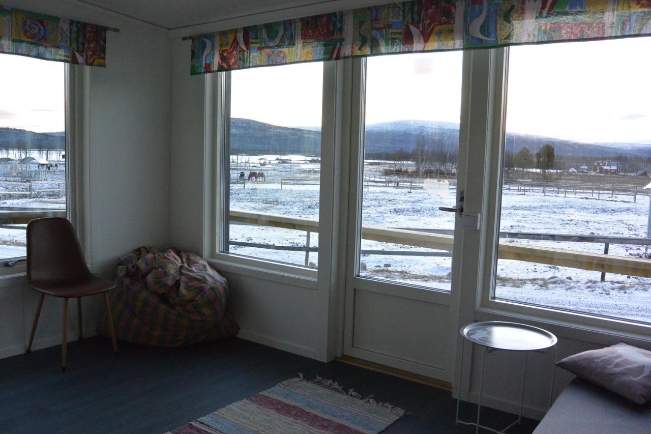 Ofelas Islandshaestar & Guideservice Kiruna Extérieur photo