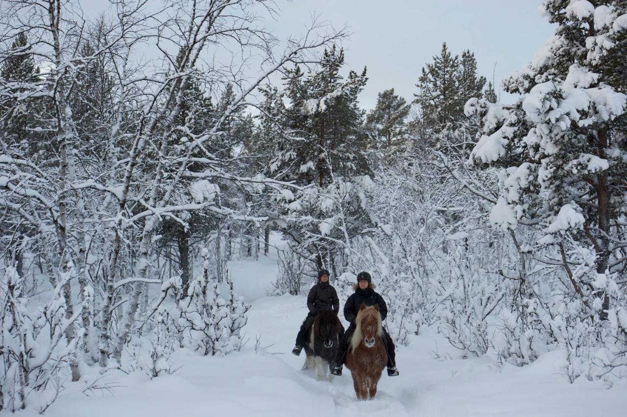 Ofelas Islandshaestar & Guideservice Kiruna Extérieur photo