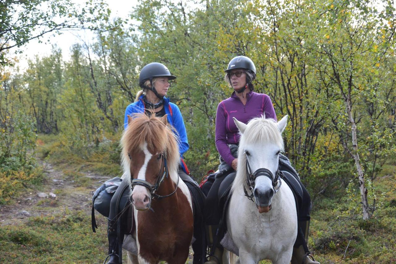 Ofelas Islandshaestar & Guideservice Kiruna Extérieur photo