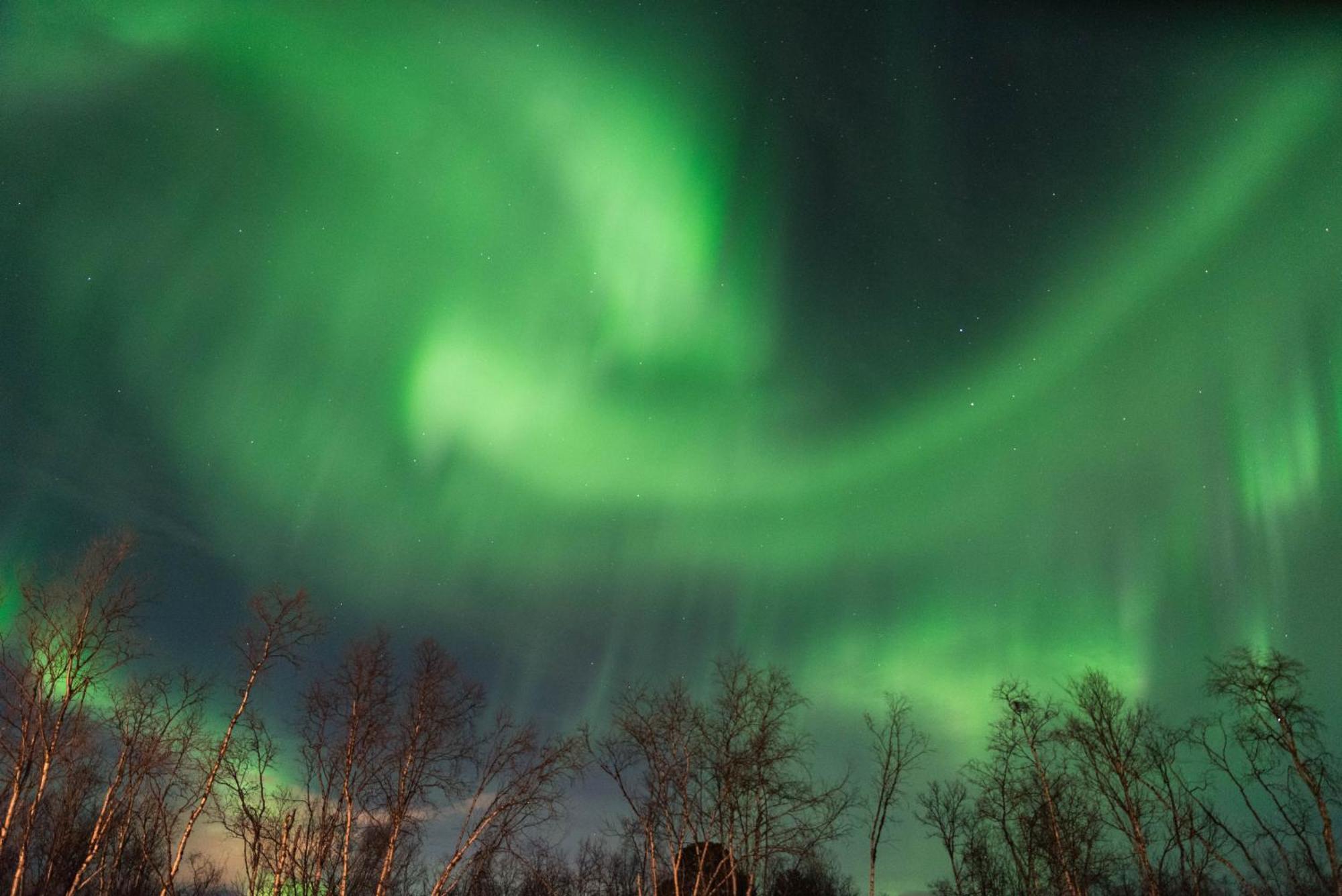 Ofelas Islandshaestar & Guideservice Kiruna Extérieur photo