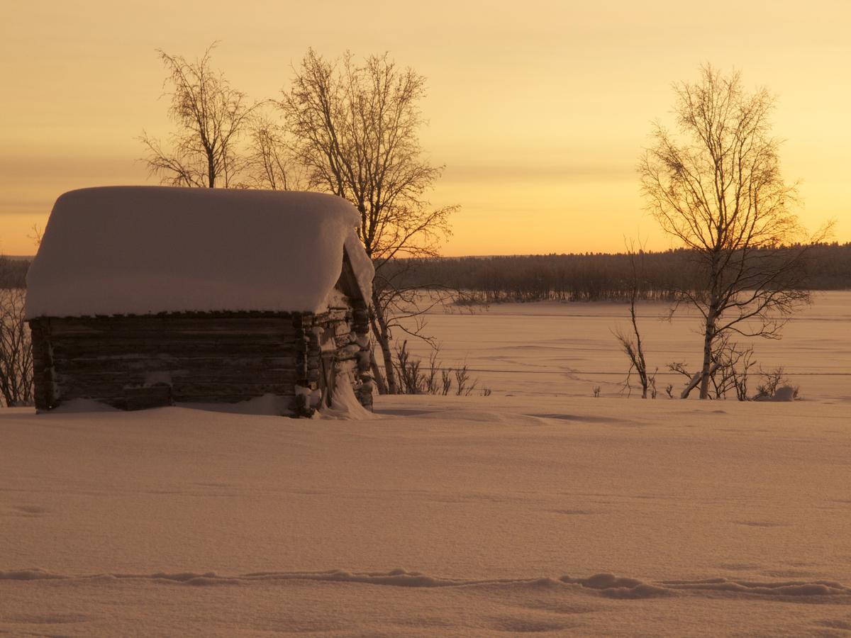 Ofelas Islandshaestar & Guideservice Kiruna Extérieur photo