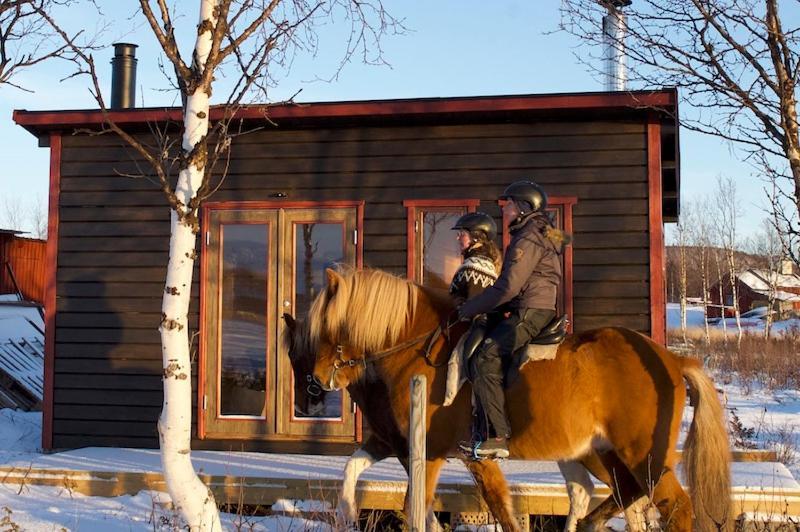 Ofelas Islandshaestar & Guideservice Kiruna Extérieur photo